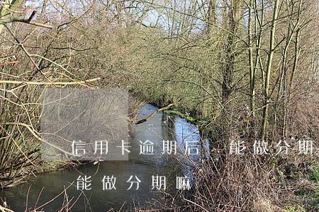 信用卡逾期后還能做分期嘛(信用卡逾期后還能做分期嘛)