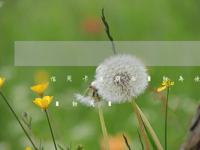 信用卡逾期后還能再使用嗎-有逾期信用卡還能用嗎