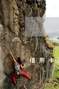 信用卡逾期后還能再借