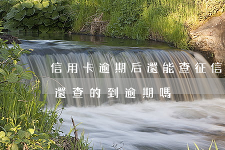 信用卡逾期后還能查征信嗎(逾期還款了征信還查的到逾期嗎)