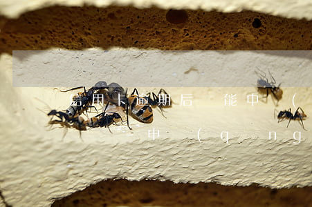 信用卡逾期后還能申請(qǐng)停息掛賬嗎-申請(qǐng)停息掛賬后信用卡還能用嗎