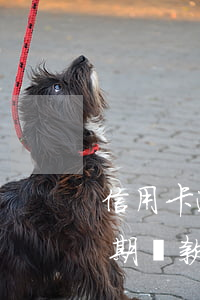信用卡逾期后還能繼續(xù)借款嗎(有逾期還款記錄還能申請信用卡嗎)