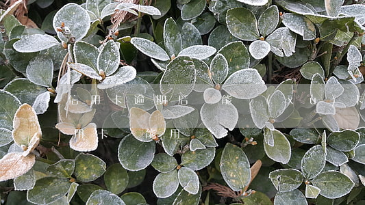 信用卡逾期后還能續(xù)卡嗎(逾期后信用卡還能用嗎)