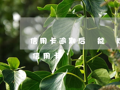 信用卡逾期后還能辦理嗎(信用卡逾期還能辦信用卡嗎)