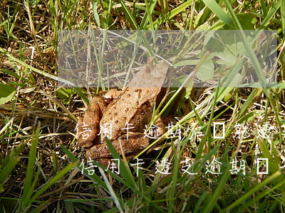 信用卡逾期后還能透支嗎(有沒(méi)有信用卡透支逾期兩年的)