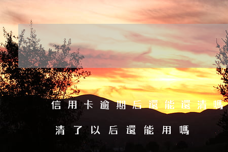 信用卡逾期后還能還清嗎(信用卡逾期以后還清了以后還能用嗎)