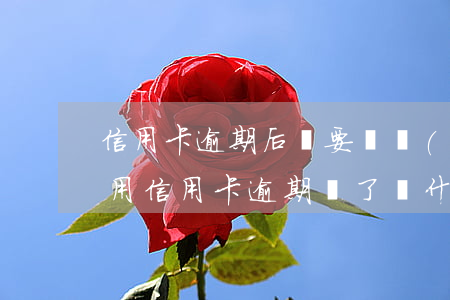 信用卡逾期后還要繼續(xù)用嗎-以前用信用卡逾期過了為什么還能辦信用卡
