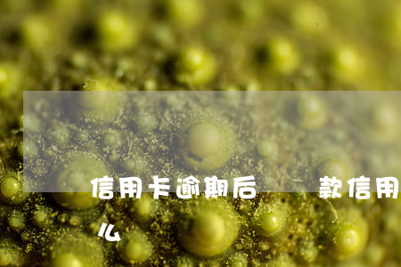 信用卡逾期后還還款(信用卡逾期后還還款怎么辦)