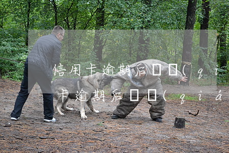 信用卡逾期后還錢(qián)怎么弄(信用卡逾期后還錢(qián)怎么弄)