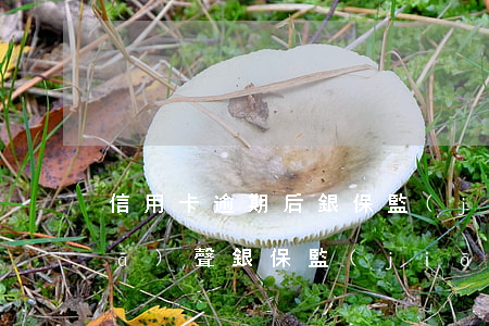 信用卡逾期后銀保監(jiān)會發(fā)聲(銀保監(jiān)局信用卡透支逾期規(guī)定)