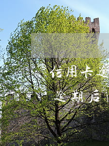信用卡逾期后銀行上門是合法的嗎-信用卡逾期后銀行上門是合法的嗎知乎