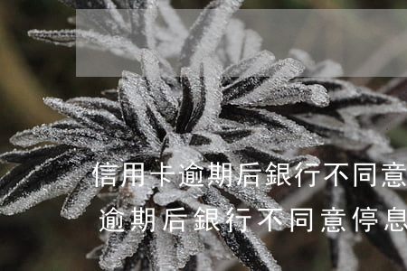 信用卡逾期后銀行不同意停息掛帳-信用卡逾期后銀行不同意停息掛帳怎么辦