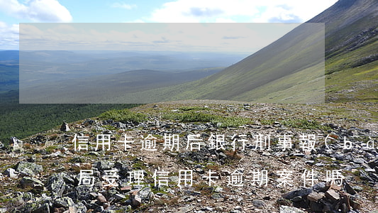 信用卡逾期后銀行刑事報(bào)案 公安局受理信用卡逾期案件嗎