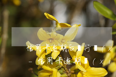 信用卡逾期后銀行協(xié)商成功案例-信用卡 逾期 協(xié)商