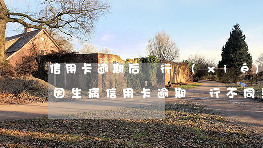 信用卡逾期后銀行協(xié)商成功案例(因生病信用卡逾期銀行不同意協(xié)商怎么辦)