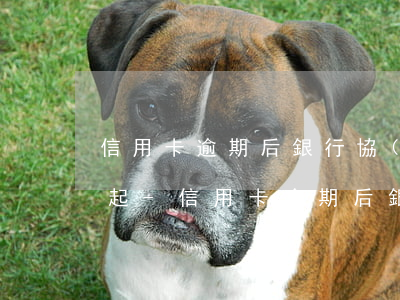 信用卡逾期后銀行協(xié)商還款還不起-信用卡逾期后銀行協(xié)商還款還不起怎么辦