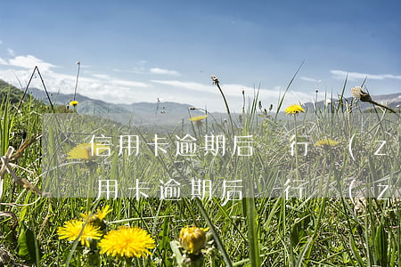 信用卡逾期后銀行執(zhí)行流程-信用卡逾期后銀行執(zhí)行流程要多久