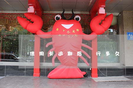 信用卡逾期后銀行多久會減免利息