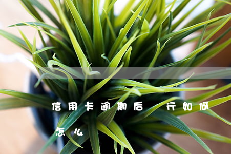 信用卡逾期后銀行如何處理(信用卡逾期了該怎么辦)