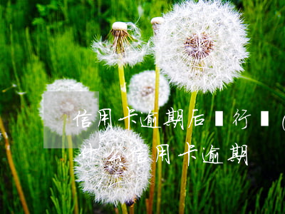 信用卡逾期后銀行態(tài)度很強硬(為什么信用卡逾期)