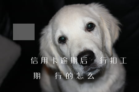 信用卡逾期后銀行扣工資怎么辦(工資卡是逾期銀行的怎么辦)