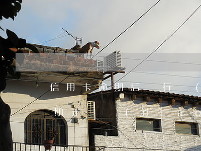 信用卡逾期后銀行會(huì)走訪 銀行逾期走訪調(diào)查是什么意思