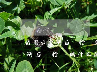 信用卡逾期后銀行會做什么流程-信用卡逾期后銀行會做什么流程處理