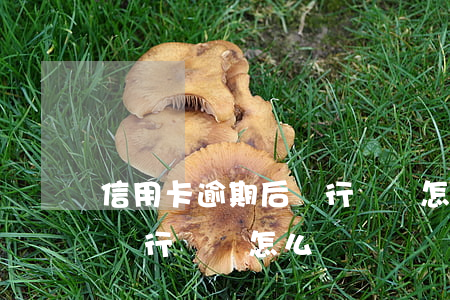 信用卡逾期后銀行約談怎么辦 信用卡逾期后銀行約談怎么辦