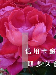 信用卡逾期后銀行能起訴嗎(欠銀行信用卡逾期多久會被起訴)