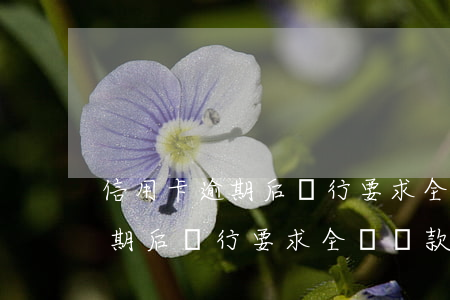 信用卡逾期后銀行要求全額還款-信用卡逾期后銀行要求全額還款怎么辦