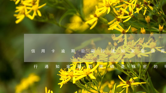信用卡逾期后銀行通知家屬(信用卡逾期后銀行通知家屬的號碼是保密的嗎)