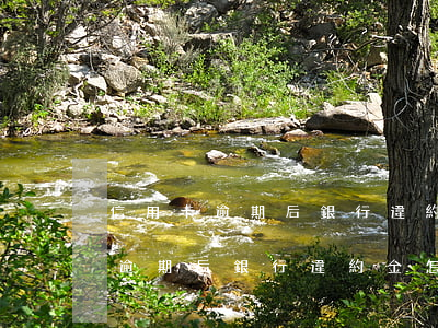 信用卡逾期后銀行違約金怎么消除-信用卡逾期后銀行違約金怎么消除呢