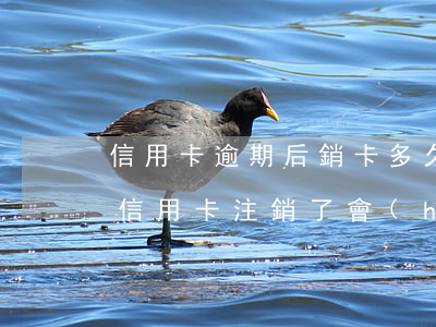 信用卡逾期后銷卡多久后可再申辦-逾期的信用卡注銷了會(huì)影響信用嗎