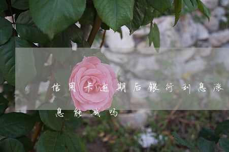 信用卡逾期后银行利息涨(信用卡逾期久了利息能减吗)