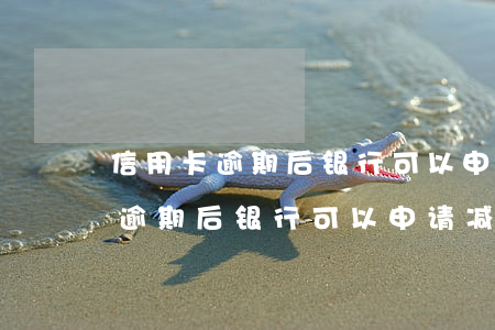 信用卡逾期后银行可以申请减免吗-信用卡逾期后银行可以申请减免吗