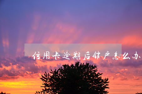 信用卡逾期后销户怎么办(逾期销卡信用记录)
