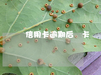 信用卡逾期后開卡