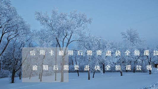 信用卡逾期后需要盡快全額還款嗎-信用卡逾期后需要盡快全額還款嗎知乎