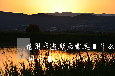 信用卡逾期后需要開什么證明(逾期后能辦信用卡嗎)