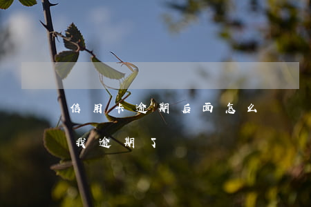 信用卡逾期后面怎么還(為什么還了信用卡,說我逾期了)