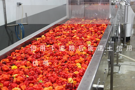 信用卡逾期后面還上(信用卡逾期后面還上征信嗎)