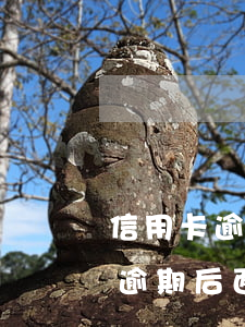 信用卡逾期后面還款出現卡已作廢-信用卡逾期后面還款出現卡已作廢怎么辦
