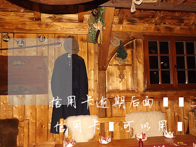 信用卡逾期后面錢還上了還能用嗎-逾期后信用卡還可以用嗎