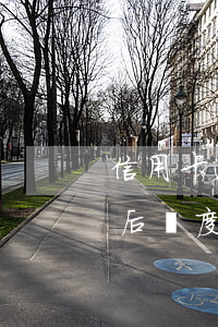 信用卡逾期后額度減半怎么辦呢（信用卡逾期后額度減半怎么辦）