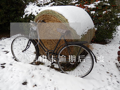 信用卡逾期后額度為0