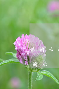 信用卡逾期后額度調(diào)高-還信用卡額度超了怎么辦