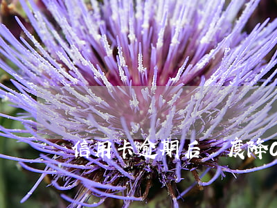 信用卡逾期后額度降0