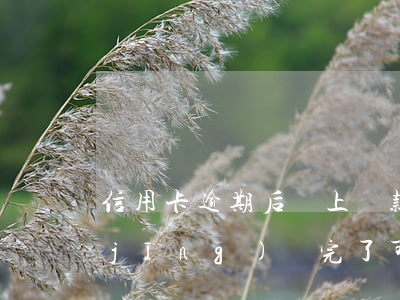 信用卡逾期后馬上還款嗎(信用卡逾期已經(jīng)還完了可以貸款嗎)
