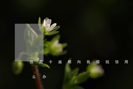 信用卡逾期向我借钱(信用卡逾期向我借钱怎么办)