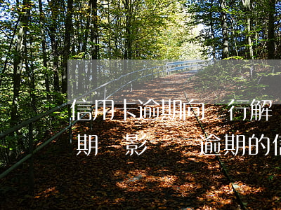 信用卡逾期向銀行解釋有用嗎-其他銀行逾期會影響沒逾期的信用卡提出嗎